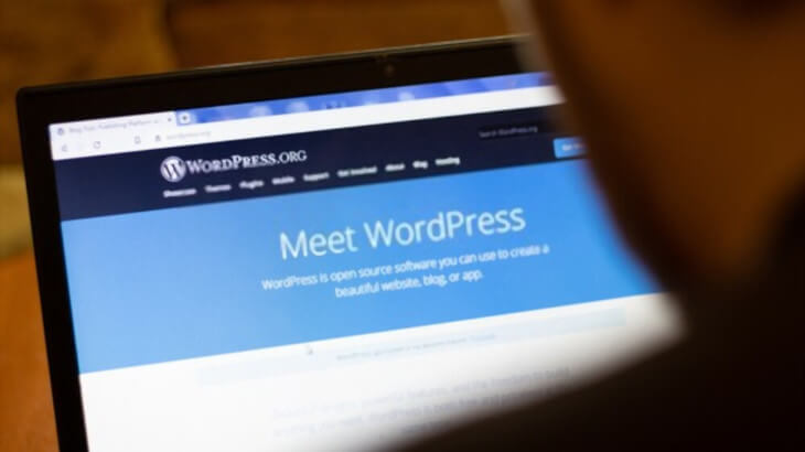 What is WordPress and why it is used by businesses?
