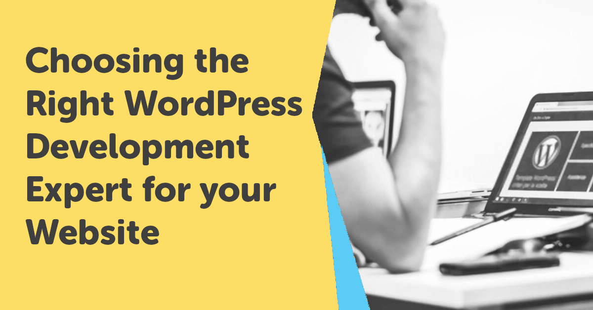 Choosing the right WordPress Development Expert for your website