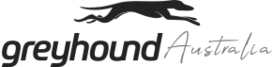 Greyhound Australia
